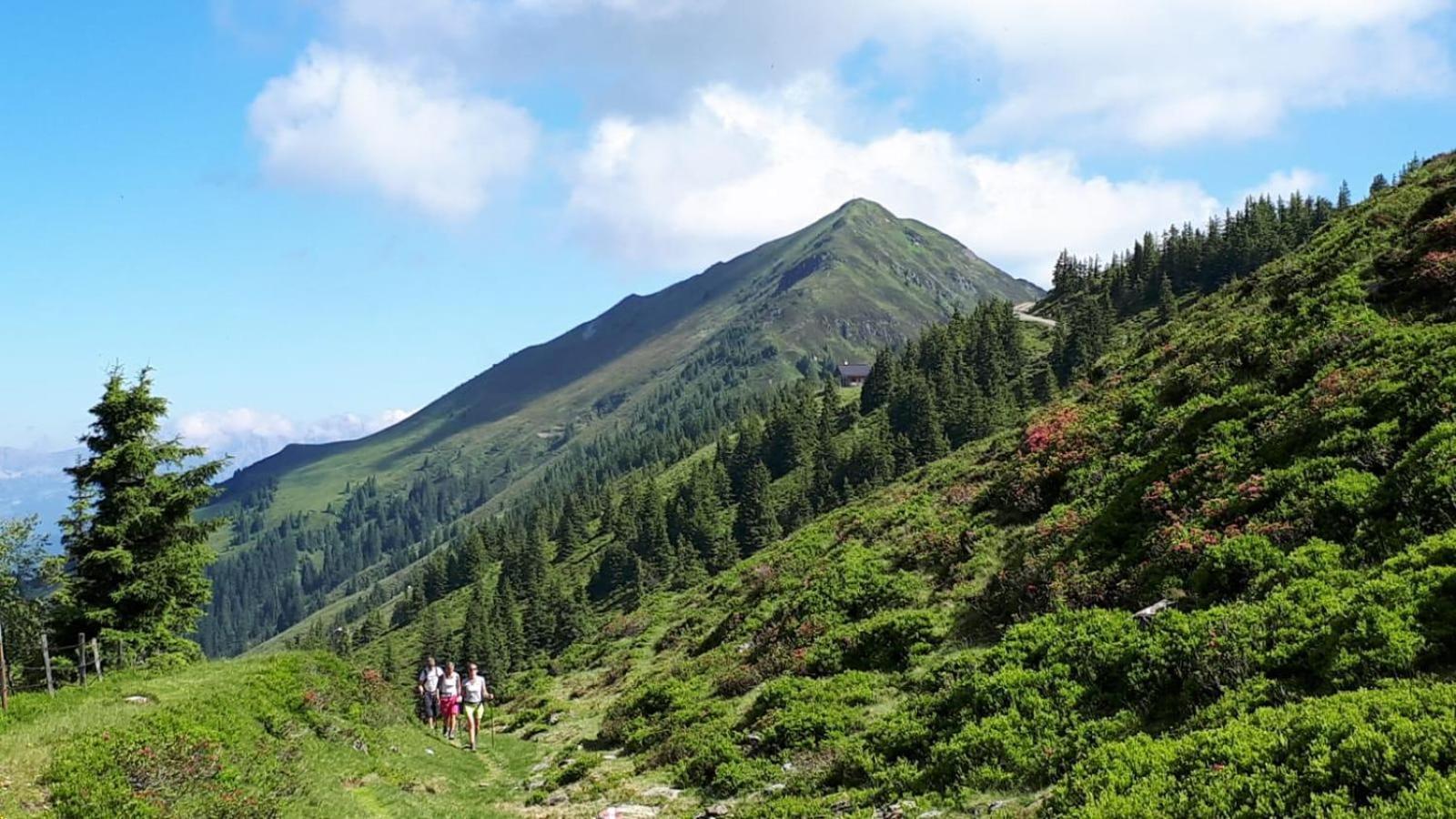 Ferienhaus Willms Am Gaisberg Kirchberg en Tyrol Extérieur photo